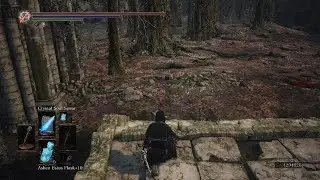 DARK SOULS III Mage Build PVP Blue Sentinel