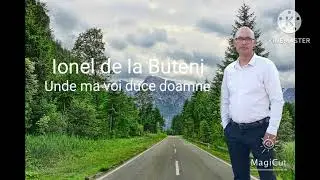 Ionel de la Buteni Unde ma voi duce Doamne |cover  Alin Parno