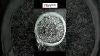 Silicone Brush and Encaustic Monotype Demo
