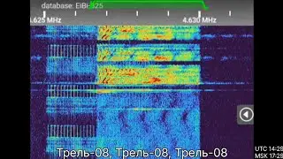 Russian voice message on 4626.5 kHz on day 25.12.2025