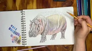 Colored Pencil Tutorial of Animal/Food Hybrid: &ldquo;Hippotato&rdquo;