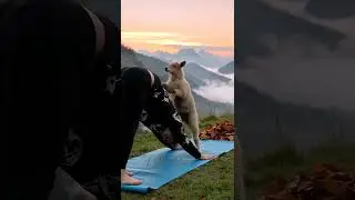 Goat Yoga Gone Wrong (But So Right) 🐐🧘&zwj;♀️