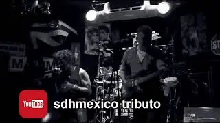 SDH MEXICO SIRENA VARADA