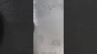 ALL-IN-ONE True Applicator