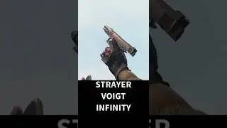 STRAYER VOIGT INFINITY リロード #stalker