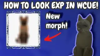 How to look EXP in WCUE!! [READ DESC]| IRIXZ
