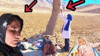 The inspiring story of a poor nomadic woman's survival in the mountains