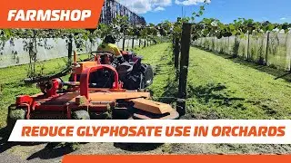 How to reduce glyphosate use  ﻿﻿Inter row mowing in a Seeka kiwifruit orchard with a Fischer SL3 mow