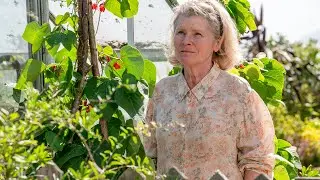 Flesh and Blood: Episode 2 Preview