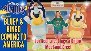 Блюи и Бинго на борту лайнера Disney Wonder | Скоро в круизах Disney Cruise Line по США