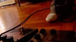 big muff + echo flanger nirvana Radio Friendly Unit Shifter