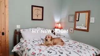 room and bathroom tour 2020