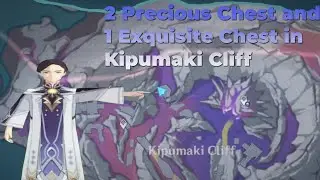 Kipumaki Cliff 2 Precious Chest and 1 Exquisite Chest Location and How to Unlock | Genshin Impact