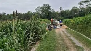 Smart Farming Tech: This Corn Sheller Does the Job in Minutes! -Agriculture Farming