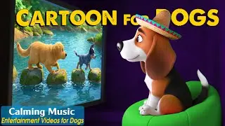 Dog Cartoon: Entertainment Videos for Anxious Dogs When Home Alone🐶 DOG TV & Relaxing Music for Dogs