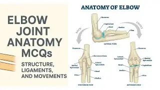 Elbow Joint Anatomy MCQs | High Yield Exam Review | Structure, Ligaments, and Movements #anatomymcqs