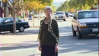 Downtown Novato Business Association