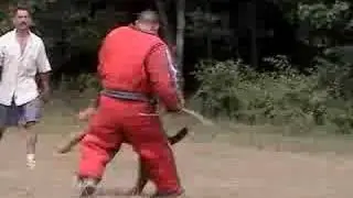 Airedale Protection PDC Face Attack