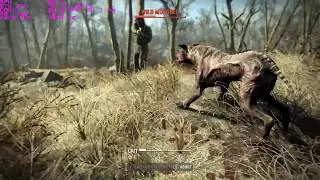 R5 1400 & GTX 970 Fallout 4