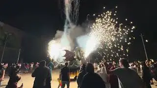 Festival Firework | Barcelona 2025 | Fireworks & Cultural Celebration #love #shortclips #fireworkssh