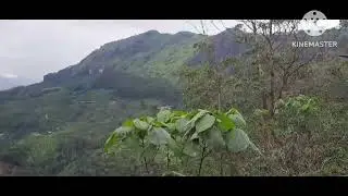 Pothamedu view point Munnar mithran's channel