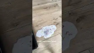 Efficacit&eacute; et &Eacute;l&eacute;gance | MOVA M10 x dream.home.family