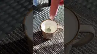 Part 56 | Handheld Electric Whisk