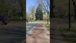 Hidden Green Trail in the Heart of the Netherlands | Relaxing Nature Walk