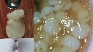 How to make Fresh longan juice | longan fruit | Ceo Thiyada