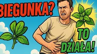 Letnia biegunka? To ziolo postawi Cie na nogi!