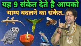 यह 9 कीड़े देते है आपको अमीरी का शुभ संकेत | vastu shastra | Vastu gyan