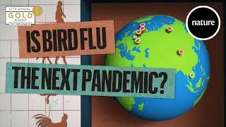 Is bird flu the next pandemic? The science so far.