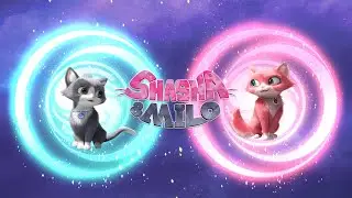Cute Cats! 😻 🐈 Shasha & Milo | Cat Transformation! ✨