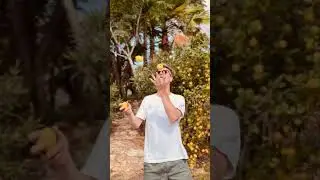 🍋🍋If life gives you lemons 🍋🍋  #juggling #new #shorts #jorisvoorn #iflifegivesyoulemons