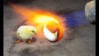 gas torch  vs egg (experiment and creative) .S02E01