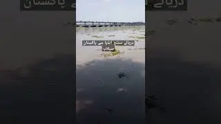 Darya satluj flood head sulimanki