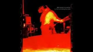 Birchville Cat Motel - Our Love Will Destroy the World
