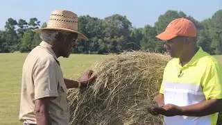 Innovative Farmer Dedicates Years to Improving the Land in Holmes County