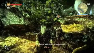 The Witcher 2 (027) - The Rose of Remembrance
