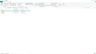 Post Scriptum how to manually reset your cache on Win10. (4.21)