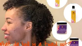 Twaid Out With Curls Dynasty