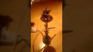 Die beste Shisha