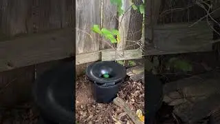 Believers in the in2care trap #mosquitocontrol #dothan #enterprise