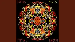 Hyvyys (feat. Puppa J & Kalevi)