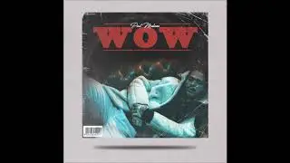 Post Malone &ndash; Wow. (Acapella Studio)