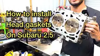 Subaru 2.5 head gasket installation. #subaru#subaruforester#engine#enginerepair#oneeyedgarage#diy