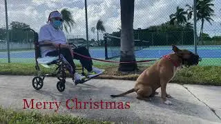 Diego Alberto ft Chris Patsis This Christmas Guitar Cover