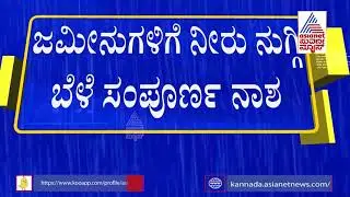 Incessant Heavy Rains Damage Farmers' Crop In Ramanagara District