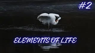 ELEMENTS OF LIFE || chemical elements essential for life || chemistry of life #2