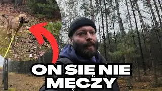Gospodarka na Mazurach, po co mi hektary - świąteczny spacer po lesie